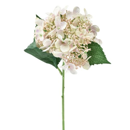 Hortensia kunstig cremehaveblomst med knopper 52cm