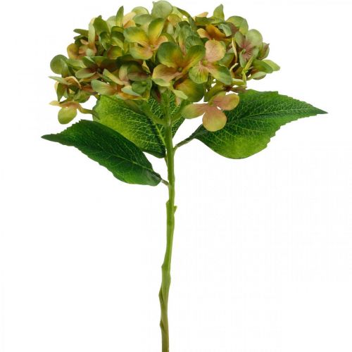 Floristik24 Hortensia kunstig Grøn, Gul kunstig blomst H35cm