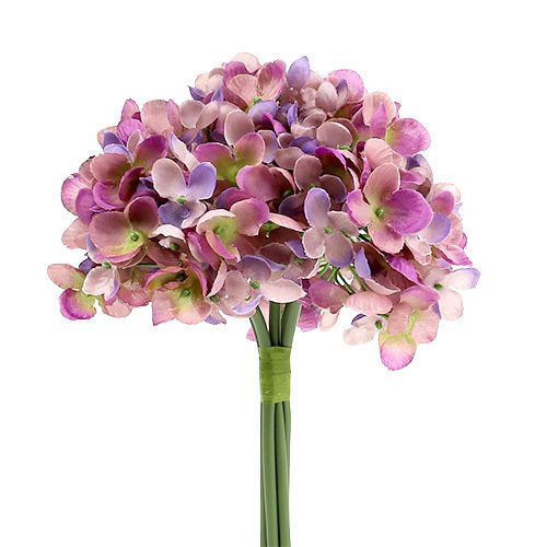 Floristik24 Hortensia bund L25cm violet