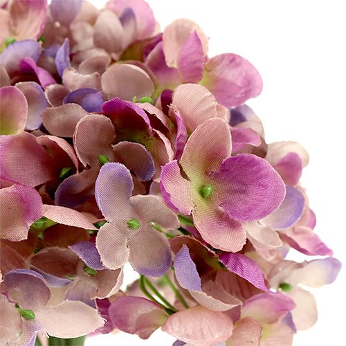 Floristik24 Hortensia bund L25cm violet