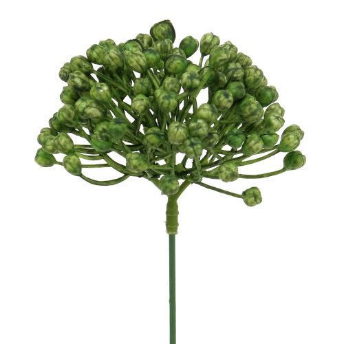 Floristik24 Hortensia knopp pick 22cm grøn 12 stk