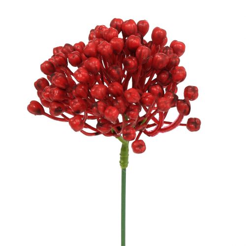 Artikel Hydrangea knop pick 22cm rød 12stk
