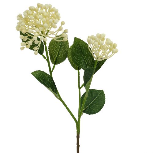 Artikel Hydrangea bud gren 55 cm fløde 6stk