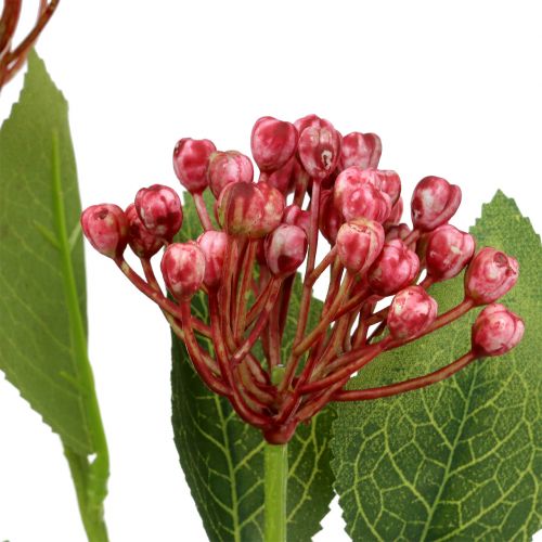 Floristik24 Hortensia knop gren 55cm lyserød 6stk