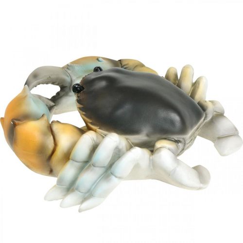 Floristik24 Havdyr, strandkrabbe, maritim dekoration orange-brun 31×25cm