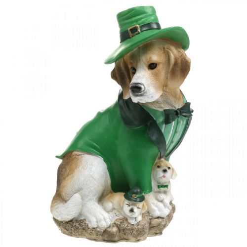 Floristik24 Beagle i hat St. Patrick&#39;s Day Hund i jakkesæt Havedekor Hund H24,5 cm