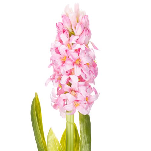 Artikel Hyacinth Real-Touch Pink 40cm