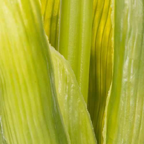 Artikel Hyacinth Real-Touch Pink 40cm