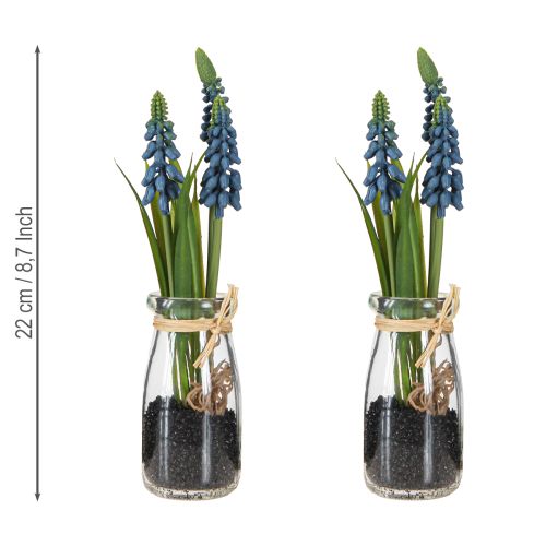 Artikel Hyacint kunstig Perlehyacint blå i glas H22cm 2stk