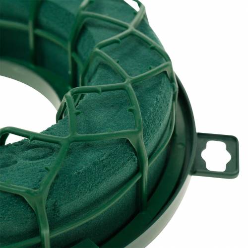 Artikel OASIS® IDEAL Universal Ring Blomsterskumkrans Grøn H4cm Ø18,5cm 5 stk.