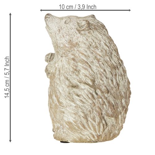 Floristik24 Pindsvin efterårsdekorationsfigur støbt sten hvidvasket H14,5 cm