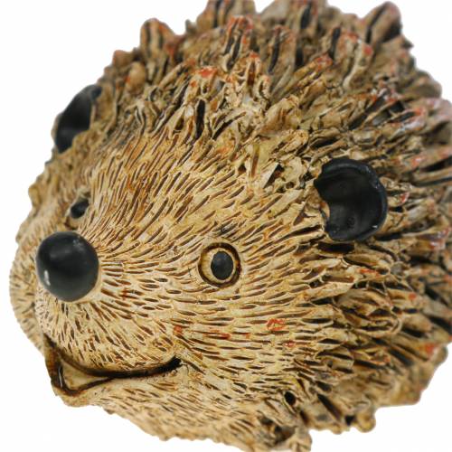 Floristik24 Dekorativ figur pindsvin naturlig 6,5 cm