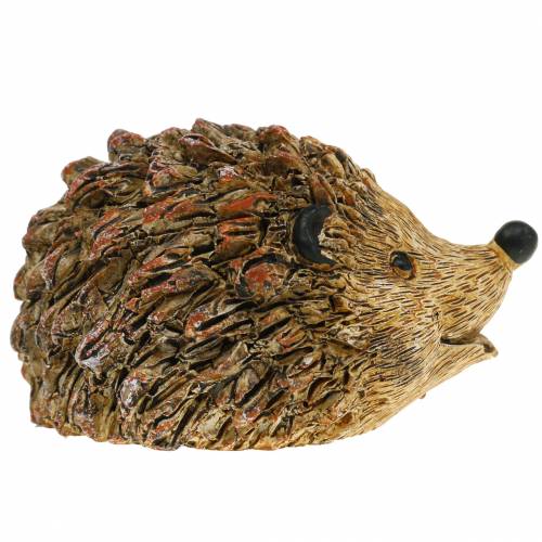 Floristik24 Dekorativ figur pindsvin naturlig 6,5 cm