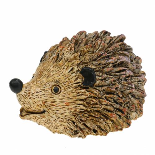 Floristik24 Dekorativ figur pindsvin naturlig 6,5 cm