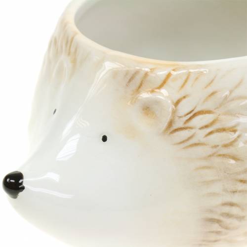 Floristik24 Plantepotte pindsvin keramisk creme 14cm x 11cm H9cm 4stk