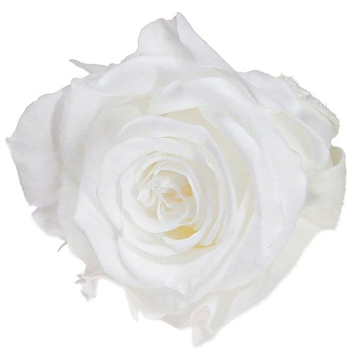 Infinity Roses Ægte Rosenhoveder Mini Roser Hvide Ø3cm 16 stk