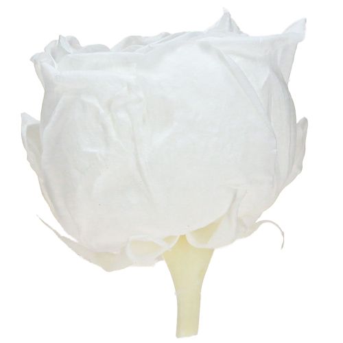 Artikel Infinity Roses Ægte Konserverede Rosenhoveder Hvide Ø6cm 6 stk
