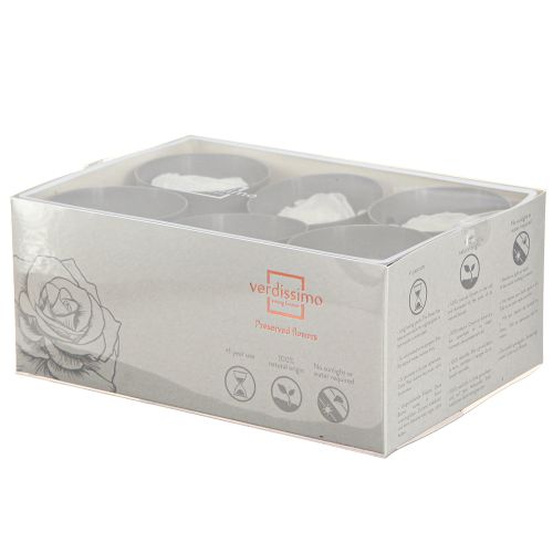 Artikel Infinity Roses Ægte Konserverede Rosenhoveder Hvide Ø6cm 6 stk