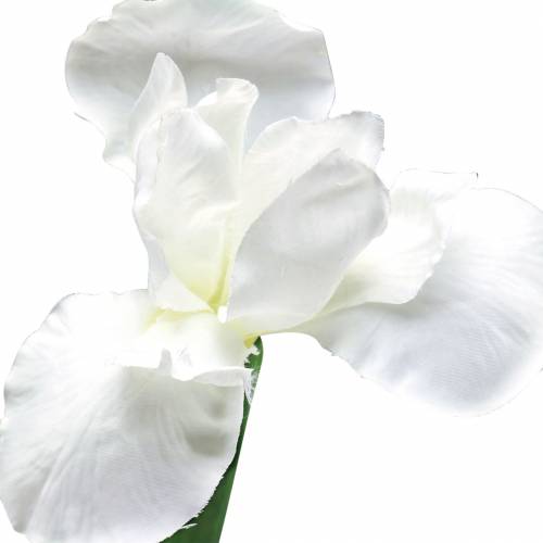 Artikel Iris kunstigt hvid 78 cm
