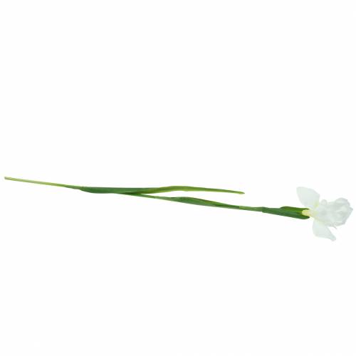 Floristik24 Iris kunstigt hvid 78 cm