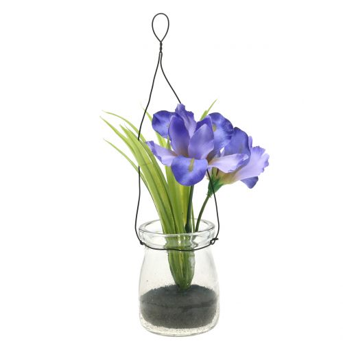 Floristik24 Iris syrin i et glas til at hænge H21,5 cm