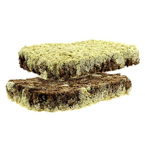 Moss Island mos Finsk Extra Polar 2 paneler