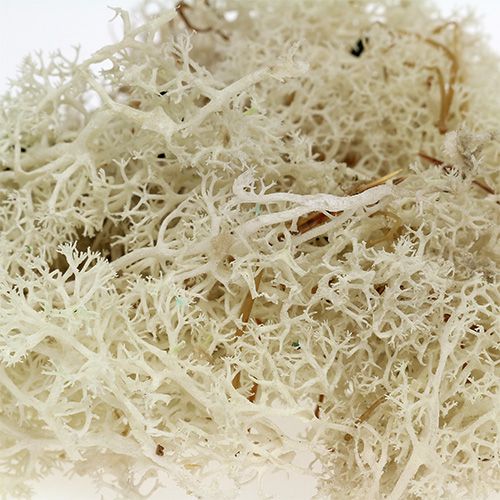 Artikel Mos islandsk mos bleget 400g