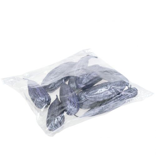 Floristik24 Luffa Frugtviol 14cm – 20cm 10 stk
