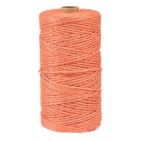 Floristik24 Jute bånd jute snor bånd jute orange Ø3mm 200m
