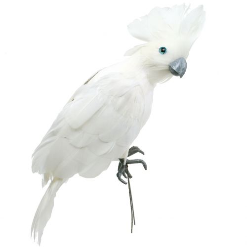 Dekorativ cockatoo med fjer hvid L30cm