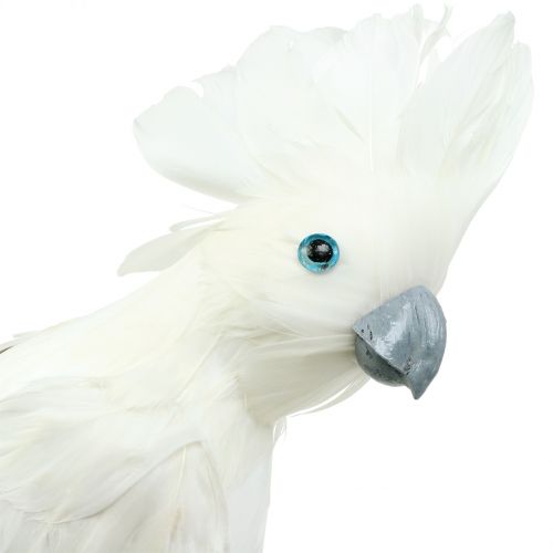 Floristik24 Dekorativ cockatoo med fjer hvid L30cm