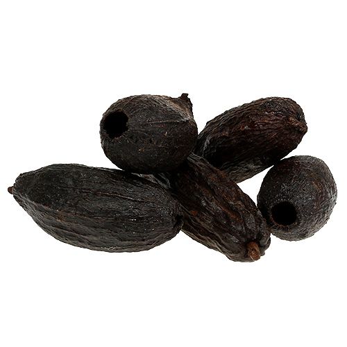 Floristik24 Kakaofrugt naturel 10-18cm 15 stk
