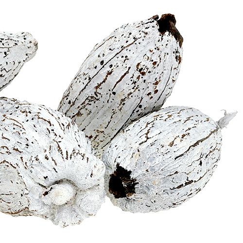 Artikel Kakaofrugter hvidkalkede 15 stk