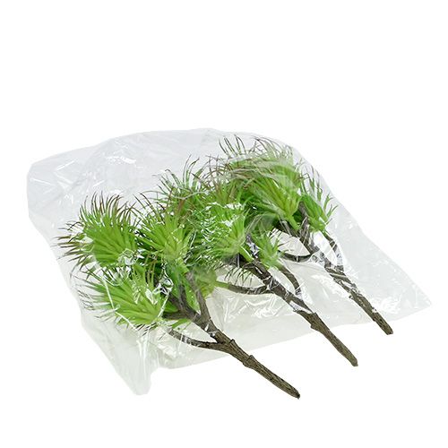 Floristik24 Kaktusgrene 20cm lysegrøn 3stk