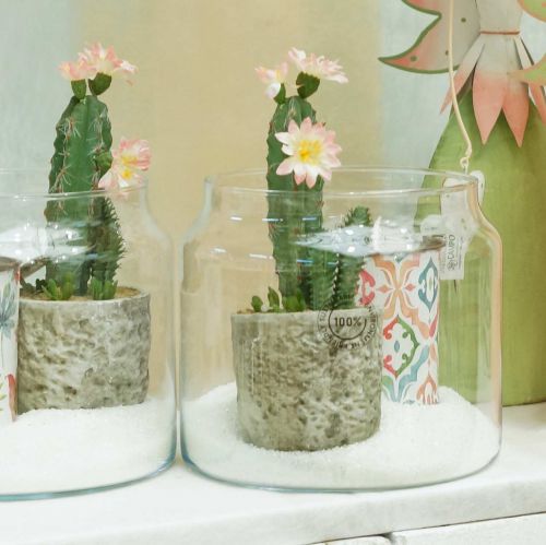 Floristik24 Kaktus i en gryde med blomst 21 cm hvid