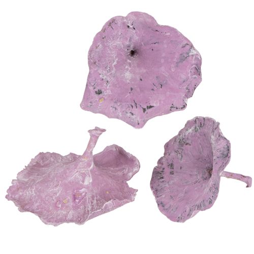 Artikel Kalix Champignon Lilla, Hvidvasket 100 stk