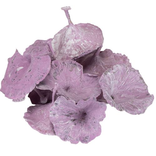 Artikel Kalix Champignon Lilla, Hvidvasket 100 stk