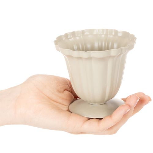 Dekorativ skål, cremefarvet trofæ, lille, 10 cm | Floristik24.dk