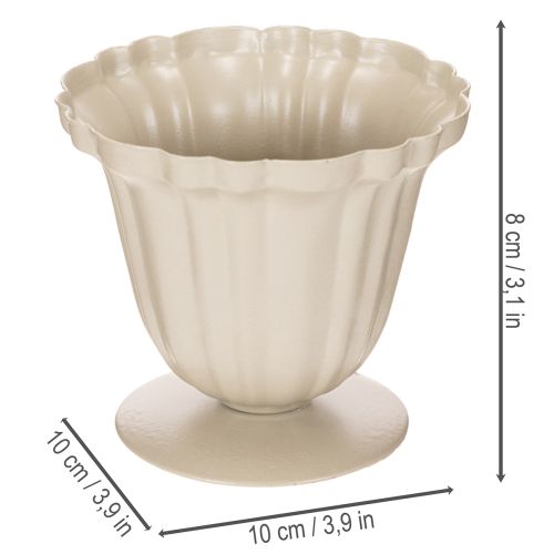 Dekorativ skål, cremefarvet trofæ, lille, 10 cm | Floristik24.dk