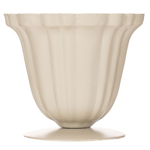 Dekorativ skål, cremefarvet trofæ, lille, 10 cm | Floristik24.dk