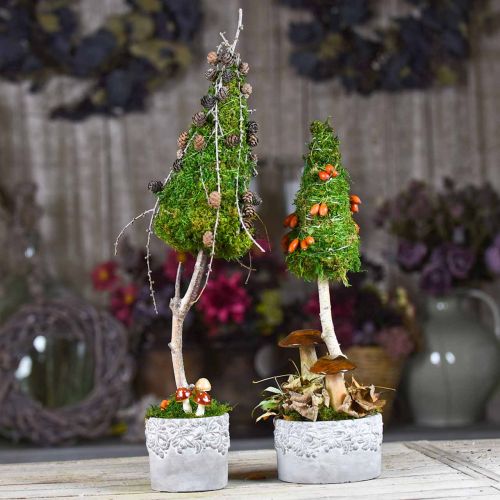 Floristik24 Plantemaskiner med agern og blade, planter keramiske grønne, hvide, grå Ø17cm H9.5cm sæt med 3