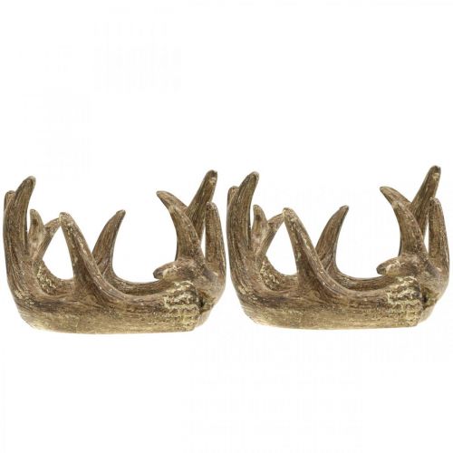 Floristik24 Fyrfadsstage lysestage gevir guld H7cm Ø10cm 2stk
