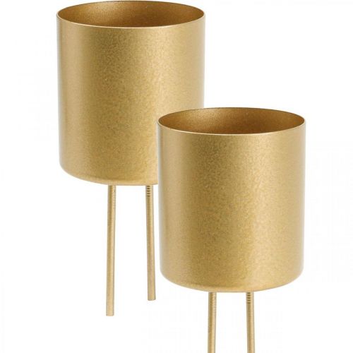 Floristik24 Plug-in lysestage guld fyrfadsstage metal Ø5cm 4stk