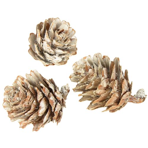 Artikel Hvide kogler, små kogledekorationer i et net, 2,5-3,5 cm, 500 g