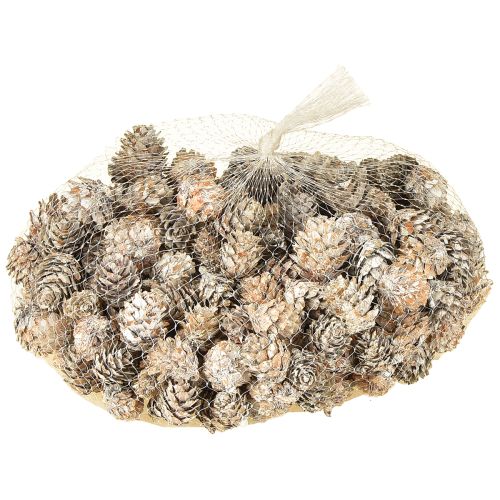 Artikel Hvide kogler, små kogledekorationer i et net, 2,5-3,5 cm, 500 g