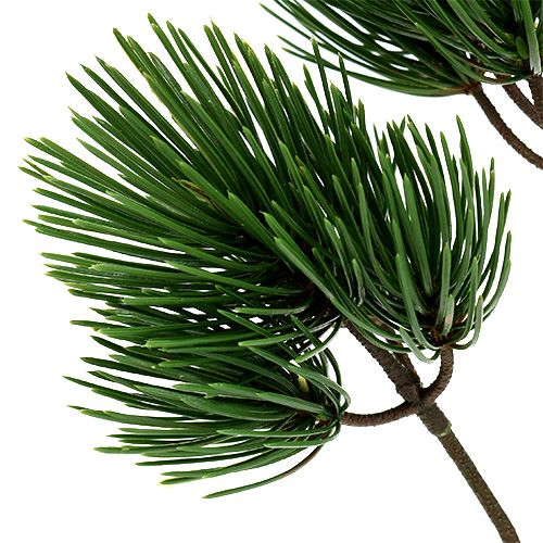 Floristik24 Kunstigt grøn fyrgren 45cm