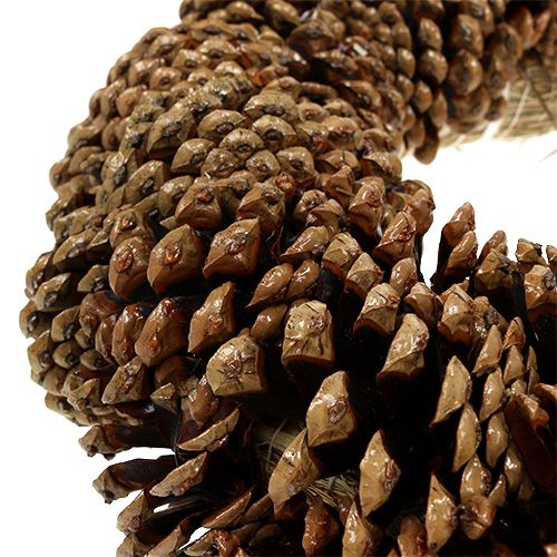 Floristik24 Fyrrekogle krans rund Ø27cm