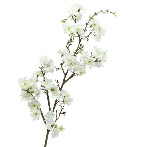 Floristik24 Kirsebærblomstgren hvid 105cm
