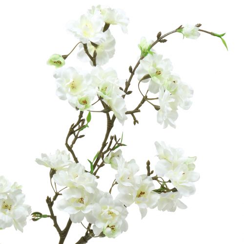 Floristik24 Kirsebærblomstgren hvid 105cm