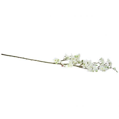 Floristik24 Kirsebærblomstgren hvid 105cm